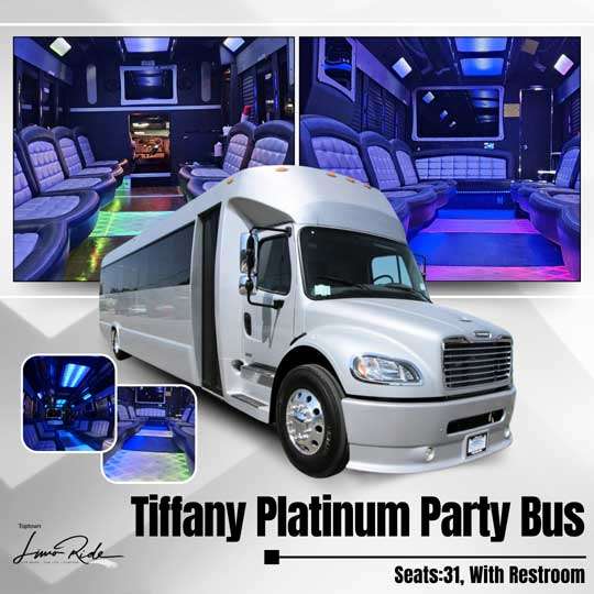 NJ Party Bus - 31 Passenger Party Bus