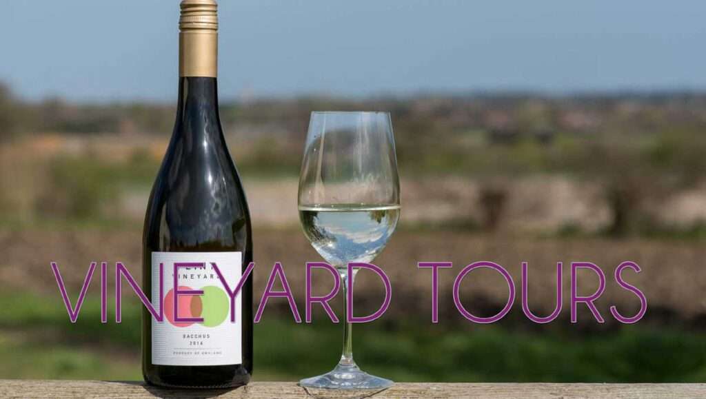 Winery Party Bus Rentals